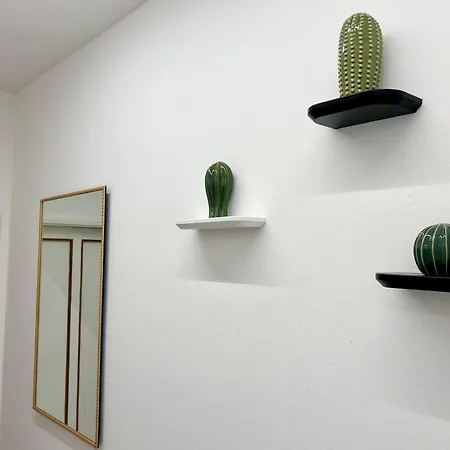 Magnolia * Μπολόνια